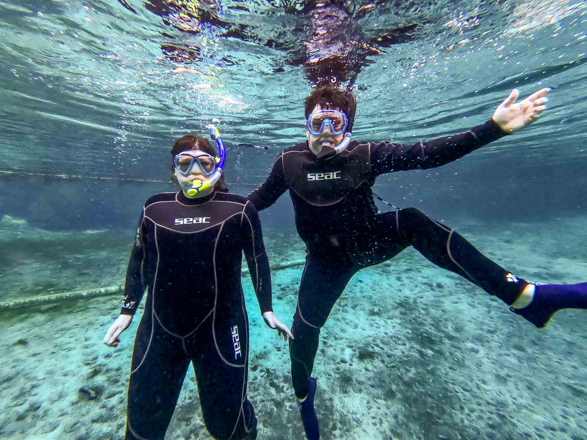 Two people snorkeling in clear freshwater